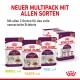Sensory Smell Taste Feel Multipack in Soße 12x85 g