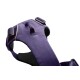 Front Range™ Geschirr violett L-XL
