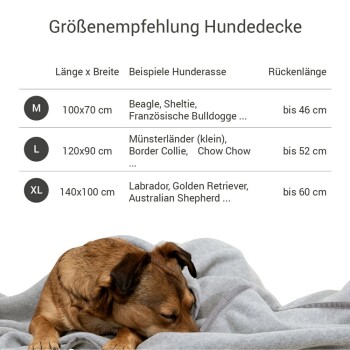 Ein schlafender Hund auf einer grauen Decke, mit einem Tisch, der Größenempfehlungen für Hundedecken zeigt, einschließlich Abmessungen und geeigneten Rassen.