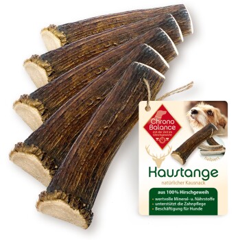 Rothirsch Geweihstange Halbiert 5er Set 400 g