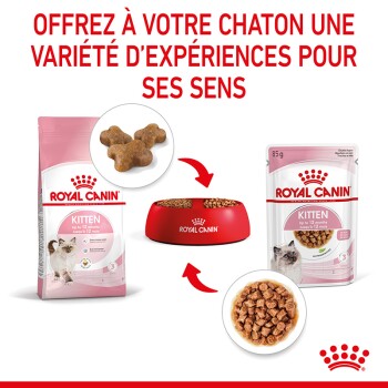 Royal Canin Veterinary Urinary S/O Urinary Chat Aliment Humide 12 x 85g