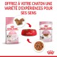 Kitten en sauce 12x85 g