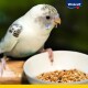 Life Power of Nature Sittiche 800 g