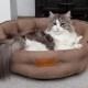 Eine flauschige grau-weiße Katze, die sich in einem gemütlichen braunen Haustierbett mit einem Lederetikett, das "Scruffs" liest, entspannt.