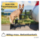 Ein brauner Hund steht auf einer schwarzen Haustierrampe, die zum Kofferraum eines Autos führt, mit einem Schild, das "Nur für Kofferraum" und "80kg maximale Belastbarkeit" sagt.