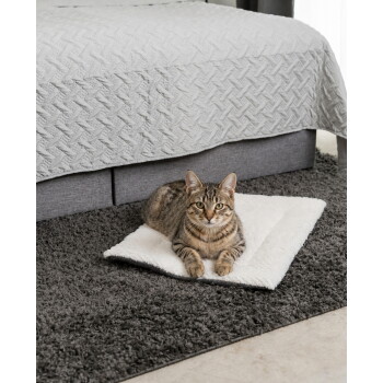 Getigerte Katze liegt auf einer weißen Sherpa-Haustiermatte auf einem grauen Hochflorteppich unter einem Bett.