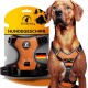 Schwarzes Hundegeschirr, das auf der Verpackung mit dem Text 'Tierhood HUNDEGESCHIRR' und einer deutschen Flagge angezeigt wird. Ein Hund trägt das Geschirr.