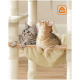 Zwei Katzen, eine graue getigerte und eine orange getigerte, sitzen zusammen in einer gemütlichen Hängematte auf einem Katzenbaum und schauen nach oben. Ein Gewichtslimit-Symbol zeigt "20 kg."