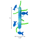 Jouet cylindrique texturé bleu pour chat avec quatre petits poissons bleus et rubans ondulés verts ; étiqueté 3 pouces de haut, 1,25 pouce de large.