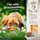 Ein brauner Hund liegt auf einer Wiese voller Gänseblümchen neben einer Dose von Betty's Hundefutter mit der Aufschrift "Mit Ente," was die hochwertigen Zutaten aus Deutschland betont.