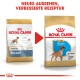 Bild zeigt zwei Beutel Royal Canin Hundefutter für Boxer, beschriftet mit "Junior" und "Welpe", mit Text, der ein neues Aussehen und verbesserte Rezeptur hervorhebt.