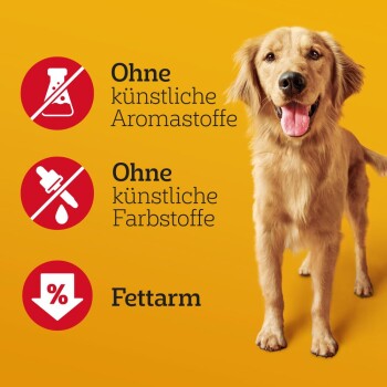 Golden Retriever steht vor gelbem Hintergrund mit Text "Ohne künstliche Aromastoffe", "Ohne künstliche Farbstoffe" und "Fettarm".