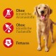 Golden Retriever steht vor gelbem Hintergrund mit Text "Ohne künstliche Aromastoffe", "Ohne künstliche Farbstoffe" und "Fettarm".