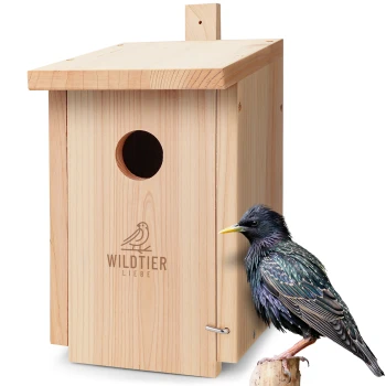 Ein hölzernes Vogelhaus mit einem runden Eingang, das das Logo "WILDTIER LIEBE" zeigt, neben einem bunten Star, der auf einem Ast sitzt.