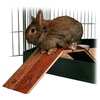 Ein brauner Hase sitzt auf einer Holzrampe in einem Haustierkäfig, mit Metallstäben im Hintergrund und einer Futterschüssel sichtbar.