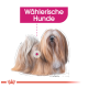 Illustration eines langhaarigen Hundes mit einem flauschigen Fell, beschriftet mit "Wählerische Hunde" oben, von G. Detthorep.