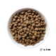 Schüssel gefüllt mit kleinen, runden, braunen Hundefutter-Kibbles.
