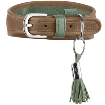Braunes Lederhalsband mit grünem Innenfutter, silberner Schnalle und Ring, grünem Wildleder-Quastenanhänger mit Prägung 'HUNTER'.