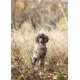 Handmade Pullover taupe 20 cm