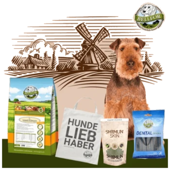 Ein brauner Hund sitzt neben einer Windmühle, umgeben von Haustierprodukten: Bellfor Hundefutter, einer "HUNDE LIEB HABER" Tasche, Shiimun Leckerlis und blauen Dental Sticks.