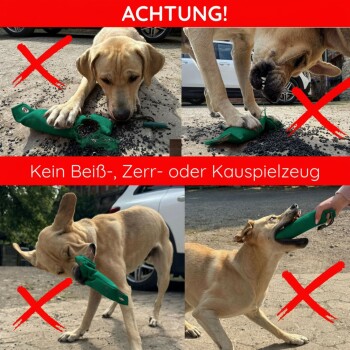 Braun-weißer Hund läuft im Schnee und hält ein schneebedecktes blaues Spielzeug im Maul.