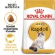 Royal Canin Adult Ragdoll Katzenfutterbeutel mit einer Ragdoll-Katze, mit Text, der die rassespezifische Ernährung und Vorteile für Haut und Fell hervorhebt.