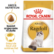 Royal Canin Adult Ragdoll Katzenfutterbeutel mit einer Ragdoll-Katze, mit Text, der die rassespezifische Ernährung und Vorteile für Haut und Fell hervorhebt.