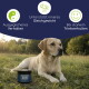 Ein weißer Hund mit erhobener Pfote steht neben einem Beutel mit Nahrungsergänzungsmittel, beschriftet mit "Libido Balance Pulver", das ausgewogenes Verhalten und Hormonregulation fördert.