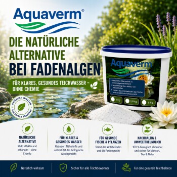 Geteilte Ansicht: links grüne Algen im Wasser, rechts bunte Koi-Fische. Hebt Algenkontrolle, Mineralanreicherung und ökologisches Gleichgewicht hervor.