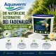 Geteilte Ansicht: links grüne Algen im Wasser, rechts bunte Koi-Fische. Hebt Algenkontrolle, Mineralanreicherung und ökologisches Gleichgewicht hervor.