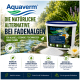 Geteilte Ansicht: links grüne Algen im Wasser, rechts bunte Koi-Fische. Hebt Algenkontrolle, Mineralanreicherung und ökologisches Gleichgewicht hervor.