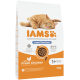 IAMS-Katzenfutterbeutel mit orange getigerter Katze, Aufschriften „Light/Sterilisiert“, „Mit frischem Huhn“, „1+ Jahre“, 10 kg.