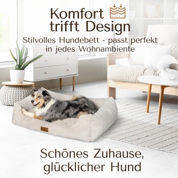 Modernes Hundebett in einem stilvollen Wohnzimmer mit einem entspannten Hund. Text: "Komfort trifft Design - perfekt für jedes Zuhause."