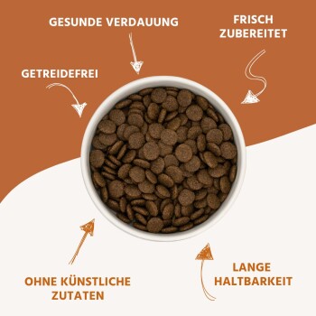 Schüssel mit Hundefutter-Kibbles mit Vorteilen: Gesunde Verdauung, Getreidefrei, Frisch zubereitet, Keine künstlichen Zutaten, Lange Haltbarkeit.