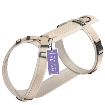 Geschirr Hund gepolstert beige L