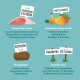 Kolorowa infografika dotycząca karmy dla zwierząt podkreślająca świeżą kaczkę, kurczaka, owoce, warzywa, probiotyki i korzyści dla mięśni i odporności szczeniąt.