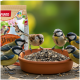 Sechs kleine Singvögel fressen Sonnenblumenkerne aus einer Terrakottaschale; im Hintergrund eine Tüte mit der Aufschrift PANTO "Premium Streufutter"