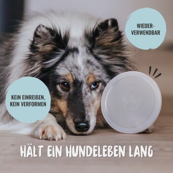 Ein Collie legt seinen Kopf auf den Boden neben einer wiederverwendbaren Futterschüssel mit dem Text: "Hält ein Hundeleben lang," "Wiederverwendbar," "Kein Einreißen."