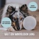 Ein Collie legt seinen Kopf auf den Boden neben einer wiederverwendbaren Futterschüssel mit dem Text: "Hält ein Hundeleben lang," "Wiederverwendbar," "Kein Einreißen."