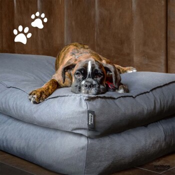 Ein entspannter gestromter Boxerhund liegt auf einem plüschigen grauen Hundebett, mit einem sichtbaren Etikett, das "MADISON" liest. Weiße Pfotenabdrücke sind in der Ecke.