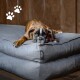 Ein entspannter gestromter Boxerhund liegt auf einem plüschigen grauen Hundebett, mit einem sichtbaren Etikett, das "MADISON" liest. Weiße Pfotenabdrücke sind in der Ecke.