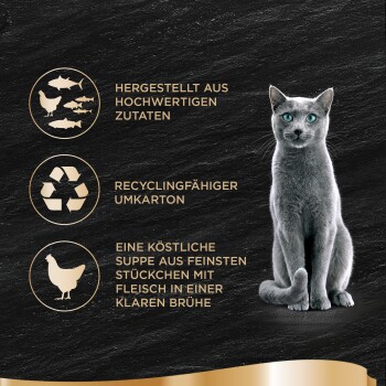 Un chat gris élégant sur un fond sombre avec le texte : "Ingrédients de haute qualité," "Emballage recyclable," "Délicieuse soupe avec morceaux de viande."