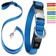 Blaue Hundeleine mit einem silbernen Clip und einer Schnalle, mit einem schwarzen Logo und einem Power-Knopf, neben bunten Riemenoptionen.