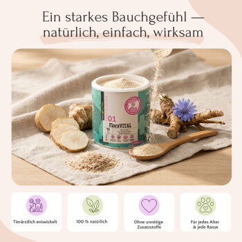 Vergleichstabelle von Favly natürlichen Tierprodukten vs. konventionellen Produkten mit Vorteilen und Nachteilen im deutschen Text.