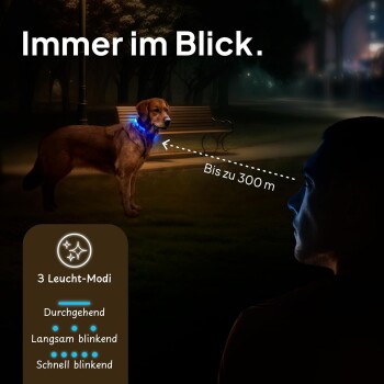 Ein leuchtender Hund mit einem blauen Lichtkragen steht nachts in einem Park, mit Sichtbarkeit bis zu 300 Metern und drei Lichtmodi.