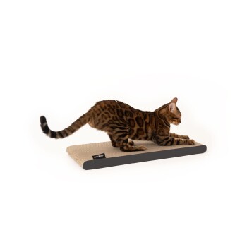 SCRATCHPAPER Katzen Kratzpappe anthrazit
