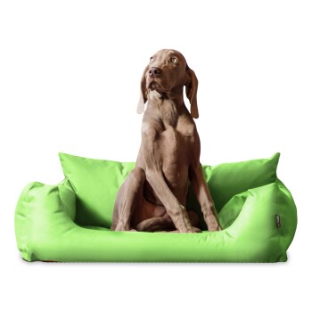 NEMO Hundebett Hundesofa S M L Hundekorb Katzenbett 65 80 100cm hellgrün 1 m, 25 cm, 80 cm