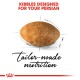 Kibble designed for Persian cats, featuring a brown kibble shape with a sketch outline, and text reading "Tailor-made nutrition."