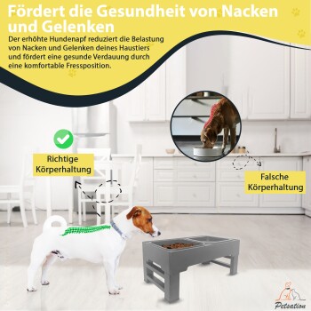Erhöhte Hundenapf, die die Nacken- und Gelenkgesundheit fördert, mit einem Hund, der bequem frisst. Der Text hebt korrekte und falsche Haltungen hervor.