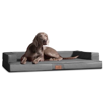 ® Orthopädisches Design Hundesofa GIBSON VISCO Kunstleder kubische Form grau/ grau 1 m, 22 cm, 80 cm